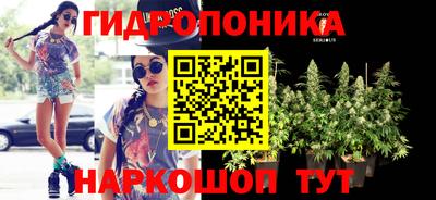 МДПВ Вышний Волочёк
